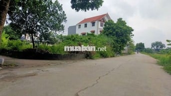 Cần bán 54m2 gần chợ Phụng Châu, 3 mặt thoáng.
