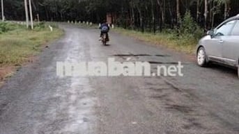 Bán đất xã Thuận Lợi, Huyện Đồng Phú, tỉnh Bình Phước
