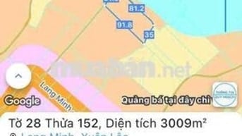 3000m2 đất Lang Minh 2 mặt tiền