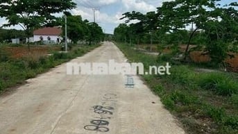 Cần Bán Gấp Lô Đất Siêu Rẻ 5 X 24 TC 60 Phường Hắc Dịch - Phú Mỹ.