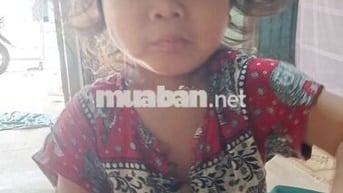 Không chạy nữa bán lại cho anh Em