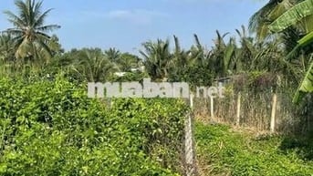 GẤP GẤP CẦN BÁN NHANH ĐẤT THỔ VƯỜN NGAY THỊ XÃ TRẢNG BÀNG