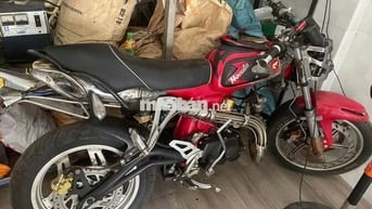 Xe 67 đẹp nhất Việt Nam