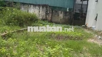 đất phụng châu phường chương mỹ mặt dg kinh doanh đẹp