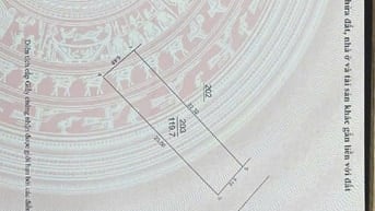 MAI CHÂU, ĐẠI MẠCH Ô TÔ CAMRY VÀO ĐẤT, SẴN DÃY TRỌ DÒNG TIỀN, NGAY CHÂ