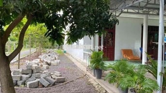 Ngân hàng thanh lí căn nhà vườn 3000m2