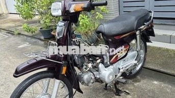 Drem Việt 2010.máy 110cc,sườn zin,BSTP,chính chủ