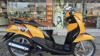 MIO CALASSICO NHẬP THÁI GHI ĐÔNG TRẦN