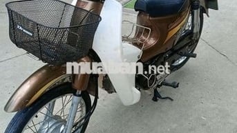 Cub 50cc