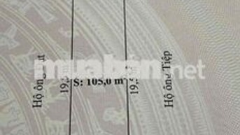 🌟 BÁN ĐẤT TRỐNG – TỔ 8, THỊ TRẤN AN DƯƠNG 🌟