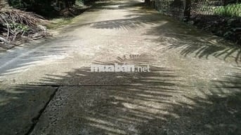 Bán 2117m2 đất vườn trồng dừa cách ĐH87 chỉ 50m hẻm xe hơi