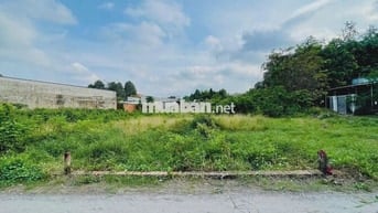 Bán đất 156m2 - Nguyễn Văn Khạ - Tân An Hội - Củ Chi . Giá 1tỷ100