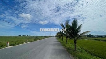 ĐẤT KQH THUỶ THANH - cạnh cầu ngói thanh toàn