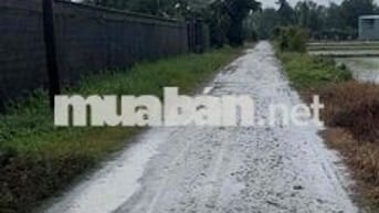 mặt tiền 25C giai đoạn 3 tháng 12 có quyết định nhận đền bù