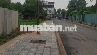 Đất 50 năm sẵn sổ đỏ 257m mặt đường nhựa container