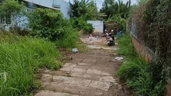 Bán Đất Cần Đước chính chủ Cô Linh