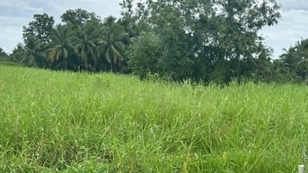 Chính chủ cần bán đất ở phường Phú Tân thành phố bến tre.