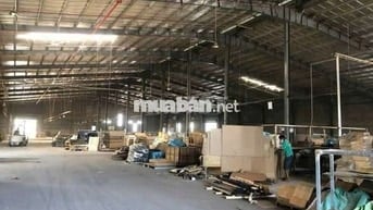 💥Cho thuê nhà xưởng tại Tân Uyên, Bình Dương