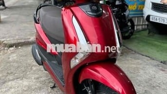 Ya Latte 2020 / Zin Cọp / Cực Đẹp Bs65 Ngay Chủ
