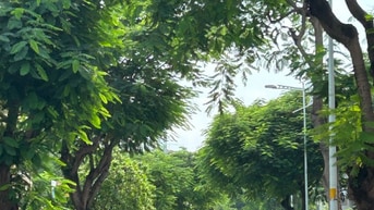 ĐẤT 10 X 30M - P. BÌNH TRƯNG TÂY - GIÁ 21 TỶ ĐẾN 34 TỶ