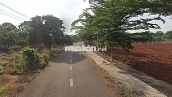 Bán 277m2 (5x55m) thổ cư,đường nhựa phường Hắc Dịch,TP.Phú Mỹ