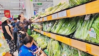 Siêu Thị Tuyển Thêm NV Trung Tuổi Phụ Quầy Hàng, Tạp Vụ Mùa Trung Thu