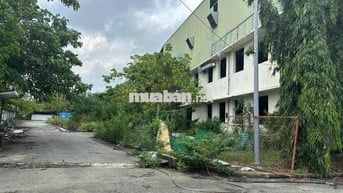 cho thuê kho xưởng Mt Đào trí 58.000m2 giá 3.6 tỷ