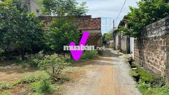 🛎🛎🛎 Chỉ với 1.x tỷ có ngay 175m tại Trần Phú, Chương Mỹ   👉 mặt tiền 9