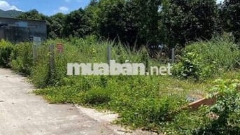 Bán đất du lịch biển Long Hải, cách biển Dinh Cô 1.9km, khu dân cư