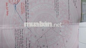 BÁN 2.000 M2 ĐẤT VƯỜN, ĐANG THU HOẠCH, TẠI TP. BẢO LỘC- GIÁ 3 TỶ.