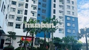 Cho thuê chung cư căn góc Skyview nội thất mới100% Chánh Nghĩa -