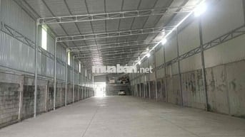 Cho thuê xưởng 900m² Thuận An – Đường xe cont 24/7, giá 50tr/tháng