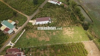 Bán đất biệt thự nghỉ dưỡng view hồ tại Lộc Phát, TP. Bảo Lộc