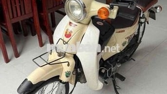 xe cub 50