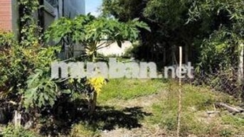 Đất Tân An ngay trường Trần Bình Trọng cách vài chục mét nhựa 6m. 5x35