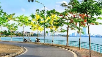 Ô TÔ VÀO TẬN SÂN, NHÌN RA HỒ TÂY 68m MT4.3m NHÀ 4 TẦNG 9 Ty 9