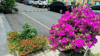 cần bán căn shophouse chung cư green town bình tân, DT 128m2 3PN 2WC.