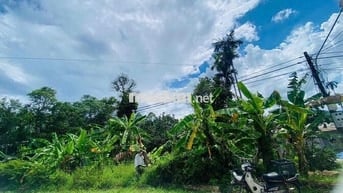 Bán nhanh miếng đất vườn 2 mặt tiền đường lớn