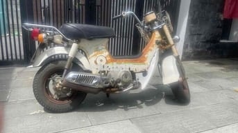 bán chaly cổ của bà dì