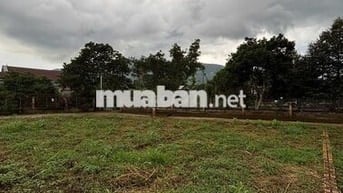 Bán GẤP 280m2 Đất THỔ CƯ VIEW NÚI CHỨA CHAN Xuân Lộc Tỉnh Đồng Nai