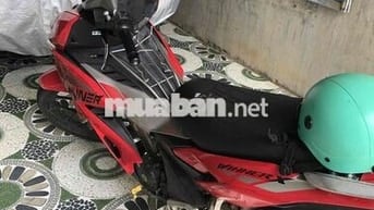 winner x 2019 có giao lưu
