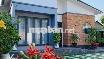Nhà cấp 4 mới xây – công năng đầy đủ, pháp lý rõ ràng