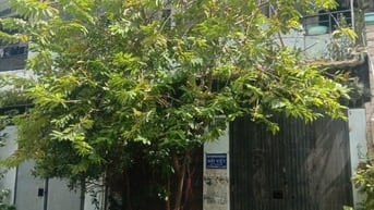 Bán căn nhà 8x17m, đường Huỳnh Văn Nghệ, P.12, Gò Vấp