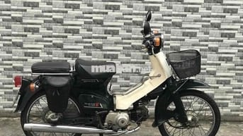 Honda Cub 81/50cc . Máy êm ru cực ngon