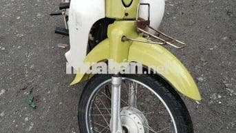 Cup 50cc