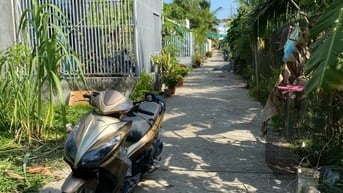 Bán đất 410 triệu/nền gần ủy ban huyện châu thành bến tre 