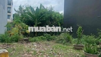 BÁN ĐẤT ĐẸP 70m2 – VƯỜN LÀI . AN PHÚ ĐÔNG, QUẬN 12