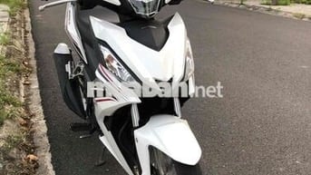 WINNER V1 2019
