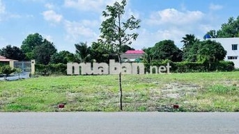 Bán đất tại Trương Định, Cần Đước, 6 tỷ, 293m2, sổ sẵn công chứng ngay