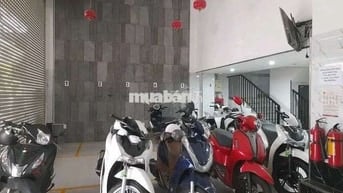 Cho thuê căn studio ngay gần cầu rồng, Nguyễn Văn Linh